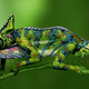 This chameleon is actually an amazing bodypainting